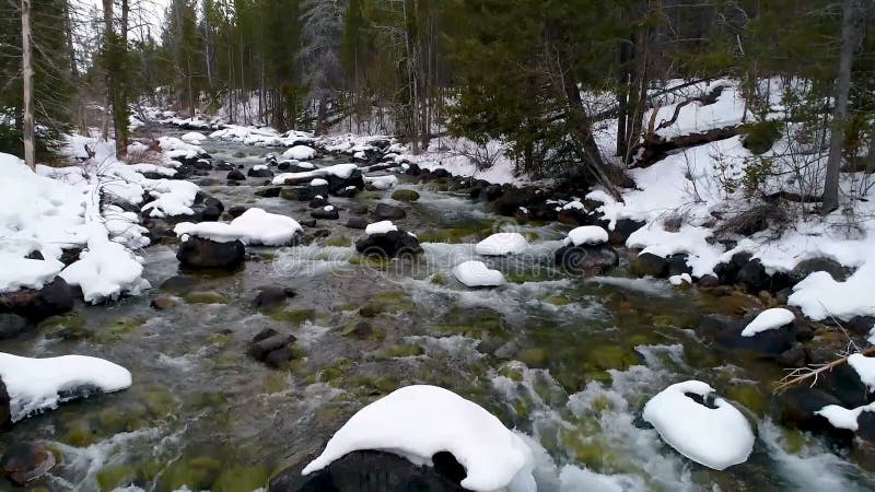 Snow on the banks of a river in winter that flows through a forest in Idaho. Redfish video