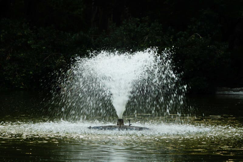 Water Fountain in a Lake in the Green Park Stock Photo Image of