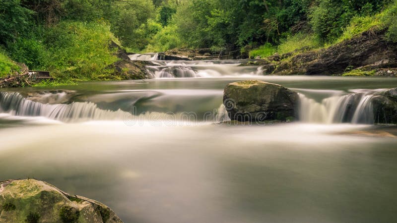 Water full of life ,tream in Slovakia