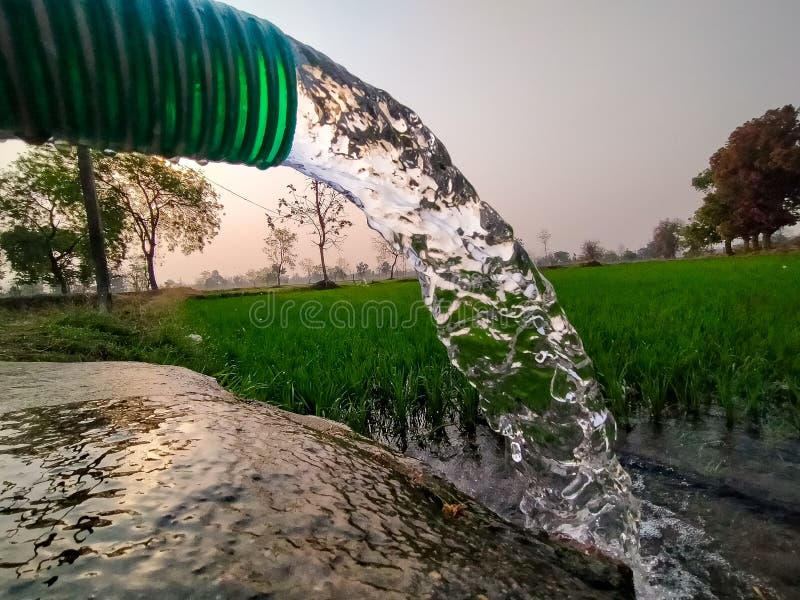 Water is Going through Pipe in Farm Stock Photo Image of water, pipe