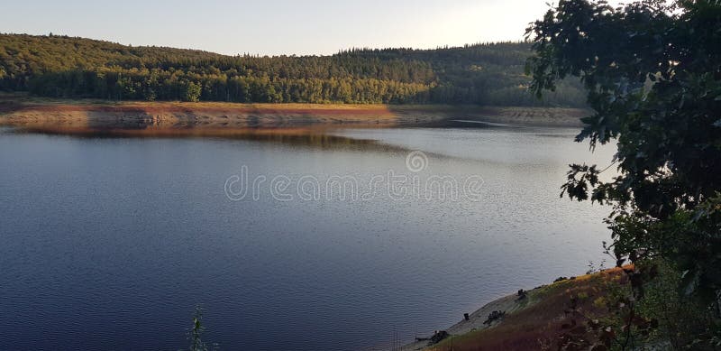 nature, stock Image of tree, autumn, leaf - 161849120