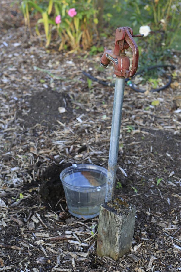 Water Hose on the Farm with a Bucket. Stock Image Image of gardening