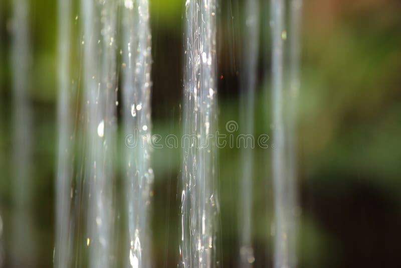 Water Jets from Fountains in Summer Stock Image Image of tree