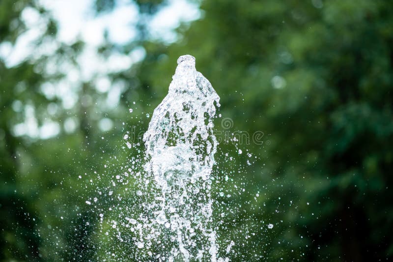 Water Jets of the Fountain on the Background of Green Trees in the Park