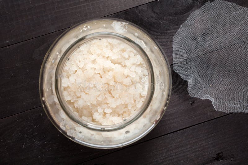 Water kefir grains stock image. Image of cultured, bacteria 39312561