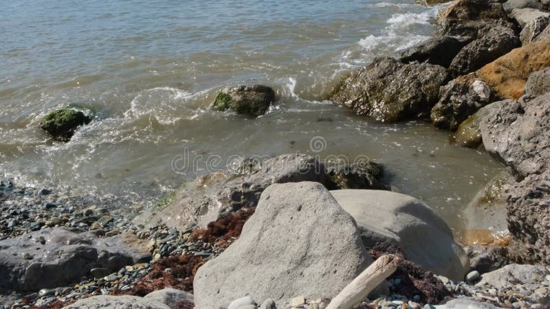 Water komt terecht op een rotsachtige kust. begrip. vuil water aan de rotskust. vuil zeewater met kleine golven breekt op rotsen.