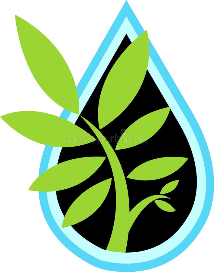 Water leaf vector illustration