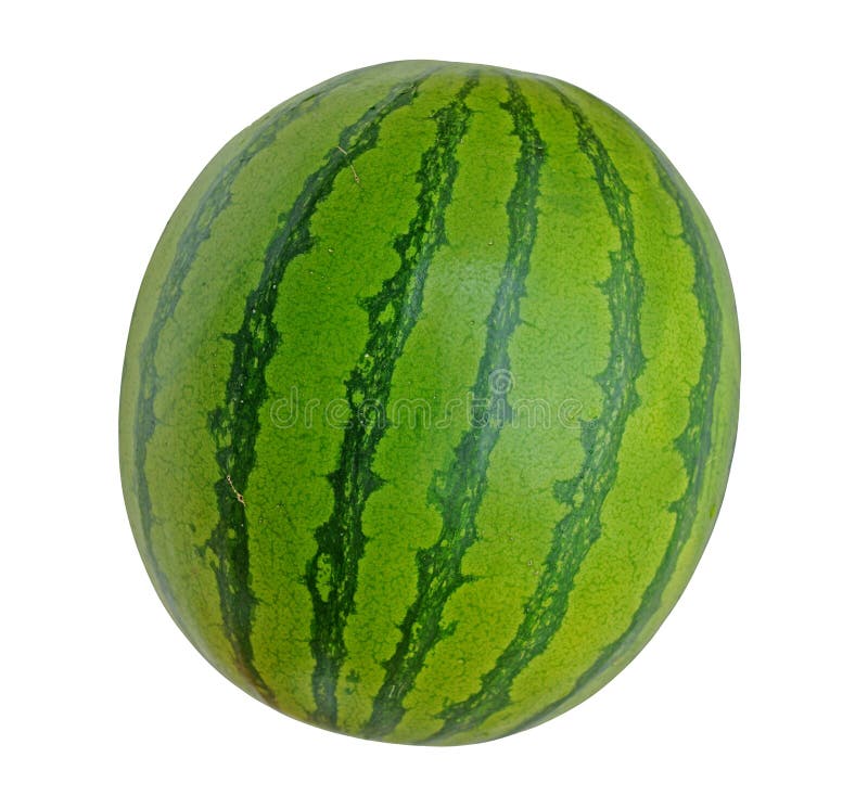 Water melon stock image. Image of vegetarian, watermelon 35393957
