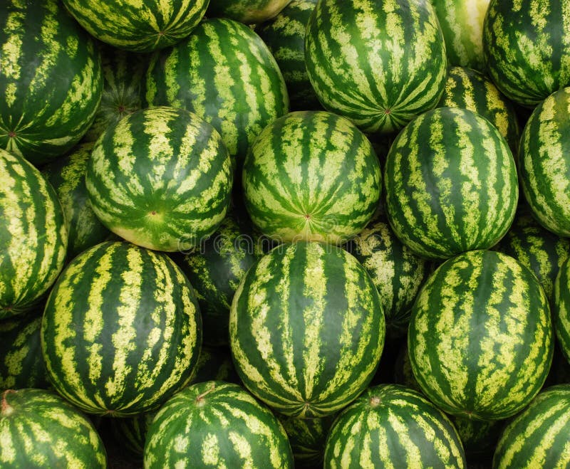 Water-melons.