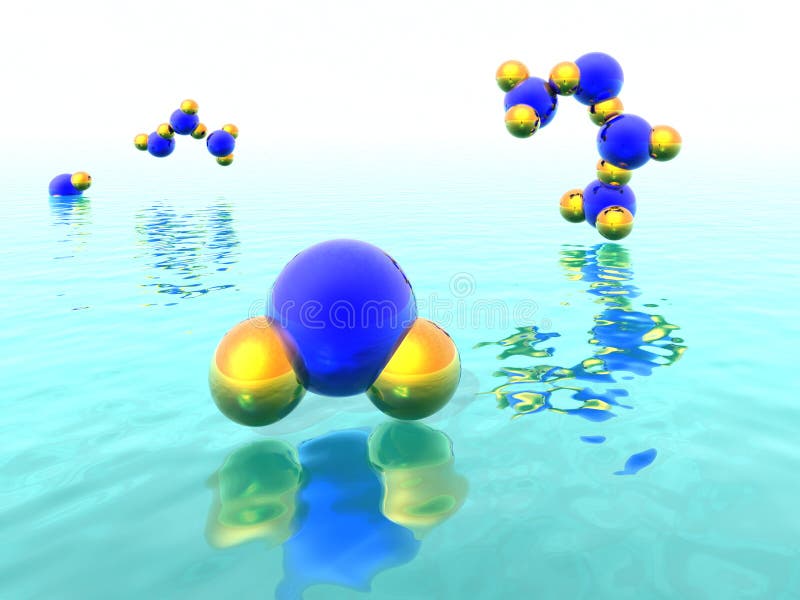 Water molecules