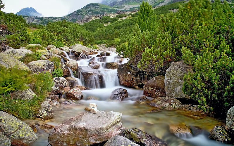 The water of a mountain river with rocks and dwarf-pine near the waterfall Skok in the High Tatras. Beautiful Slovakia.