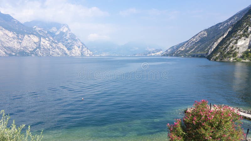 Water panoramic landscape on Lake Garda framed by the Alps mountains blooming with pink flowers of an oleander and olive bush stock photography Water panoramic landscape on Lake Garda framed by the Alps mountains blooming with pink flowers of an oleander and olive bush stock photography