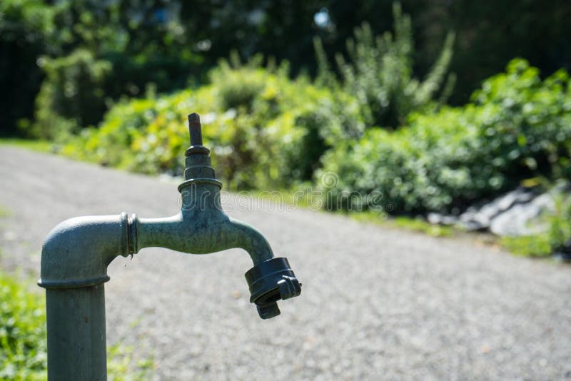 Water Pipe Tab Front Garden Summer Stock Photos Free & RoyaltyFree