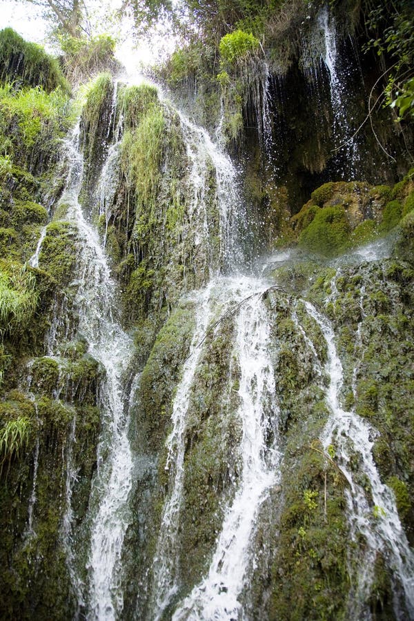 Water and plants