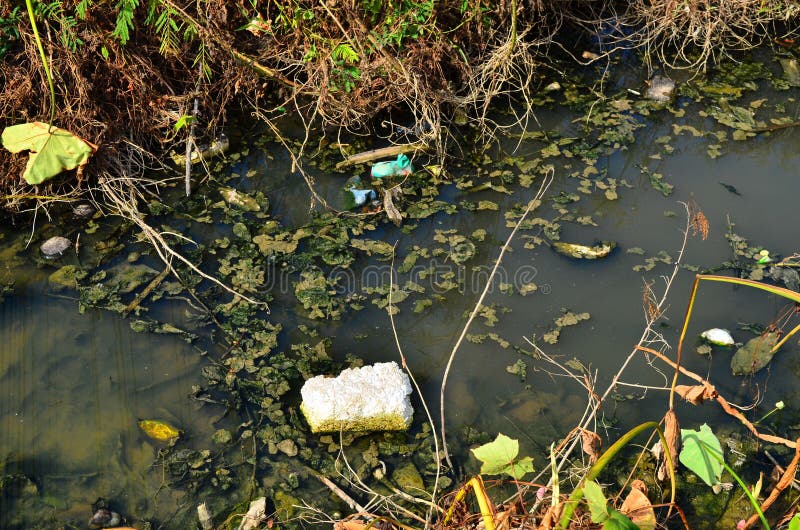 Water pollution royalty free stock photo