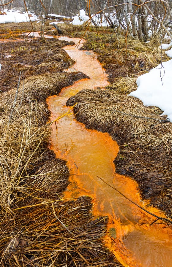Water pollution stock images