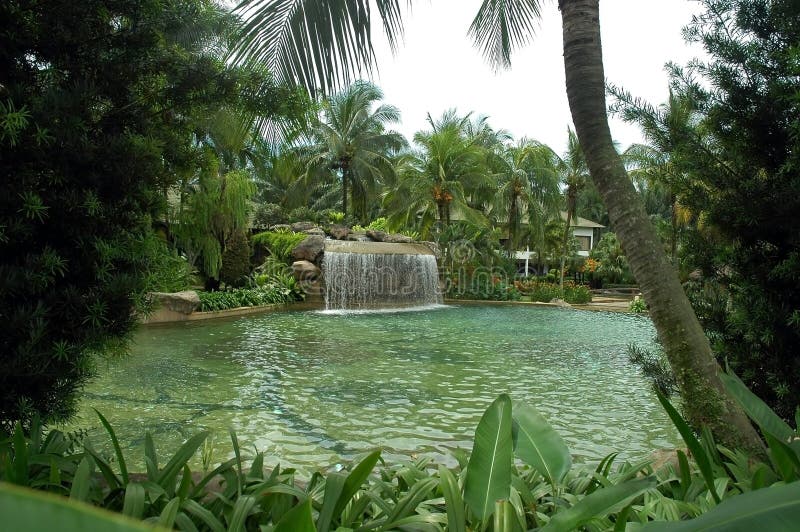 Acqua di piscina paesaggistica.