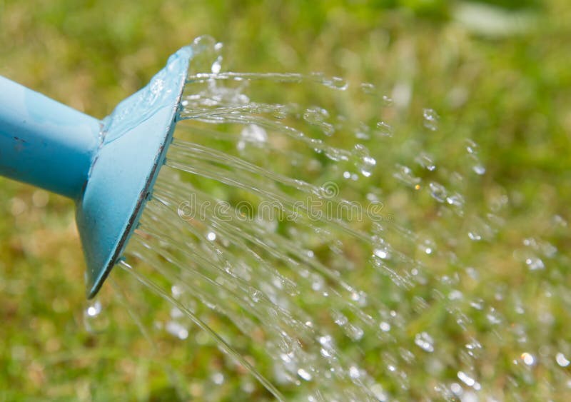2,264 Pouring Watering Can Plant Water Stock Photos Free & Royalty