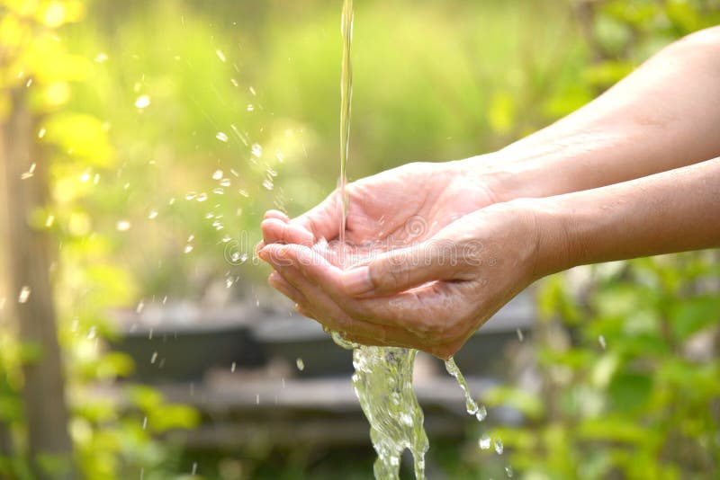 Water Pouring In Woman Hand On Nature. Stock Photo Image of female