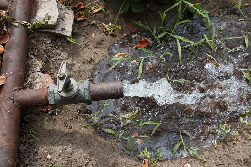 Water Pressure from the Tap for Watering Plants on the Plot, in the
