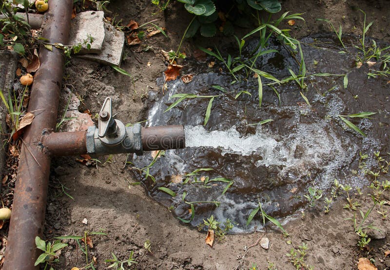 Water Pressure from the Tap for Watering Plants on the Plot, in the