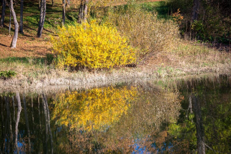 Odraz vody - jezero Liptovská Mara, Slovensko