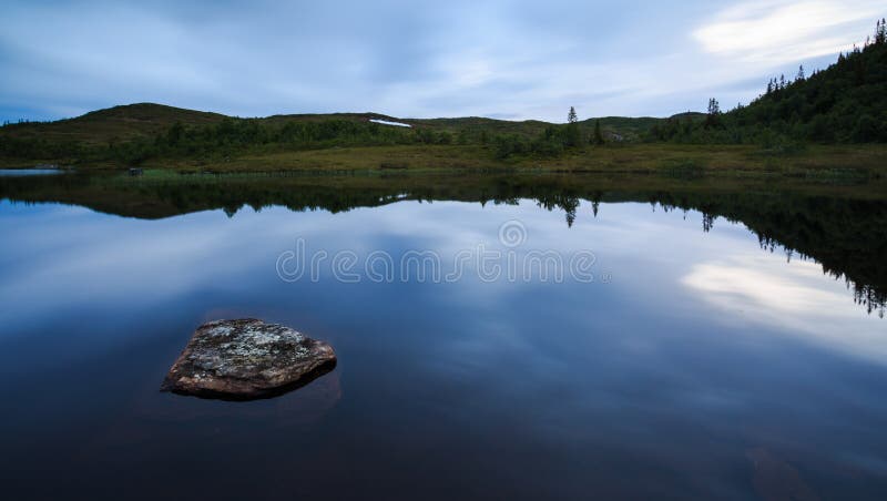 Water reflection