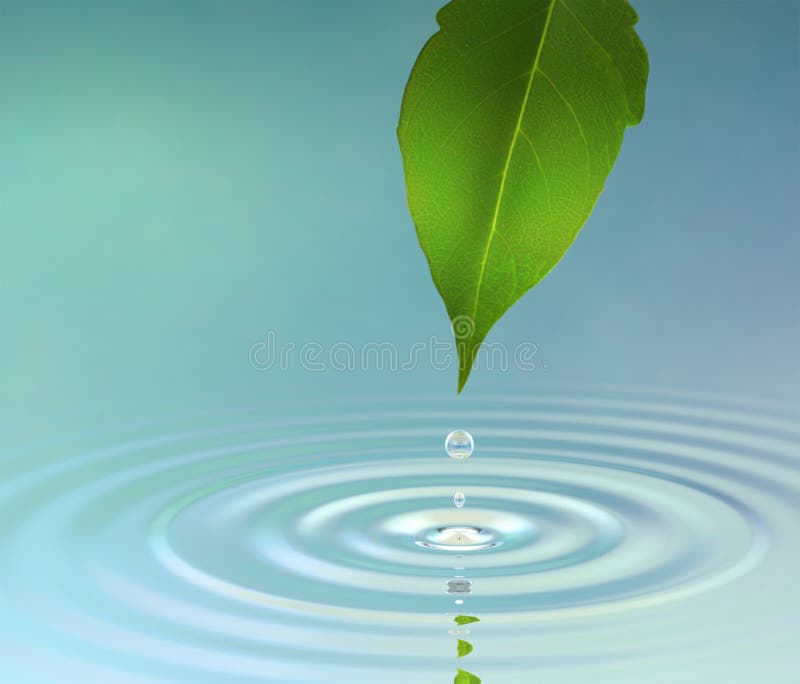 A water drop from a leaf causing a ripple on the surface reflecting a green jungle atmosphere. Green drop illustrations