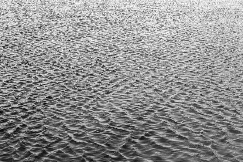 Photo Of Water Ripples Picture. Image: 113907800