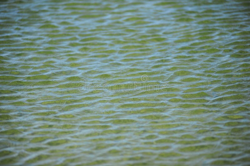 Water Ripples Texture