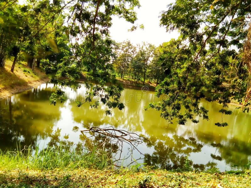 Water, River ,sky ,tree, Canal Stock Photo Image of water, river