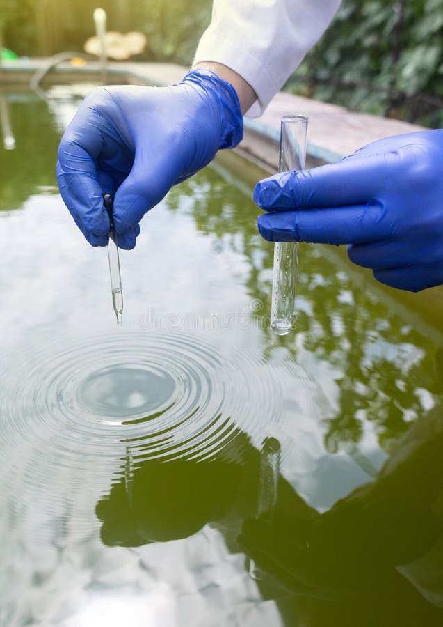 Water Sample. Bacterial Control of Pool Water. Checking the Amount of