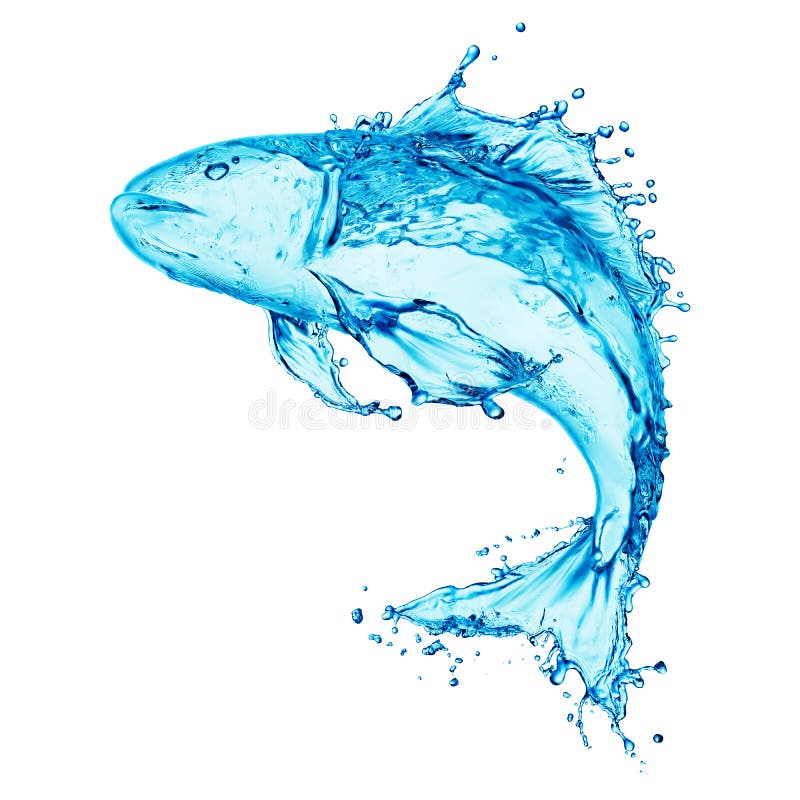 Water splash,fish royalty free stock images Water splash,fish royalty free stock images
