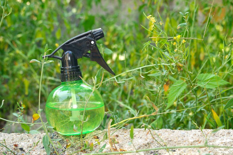 Water spray on the grass stock image. Image of grass 35895907