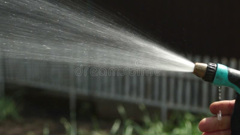 Water spray gun for watering plants.