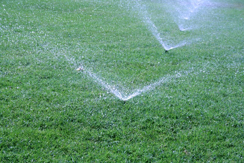 Water sprinkle stock photo. Image of water, sprinkle, green 3734422