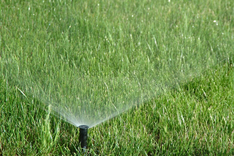 Spruzzo d'acqua della doccia.