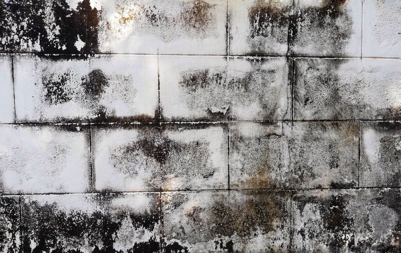 Water Stains on the Wall for a Long Time until Moss. Stock Image