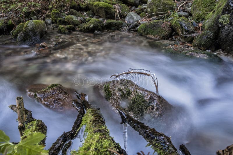 Water stream with icicles in forest, Little Fatra, Slovakia