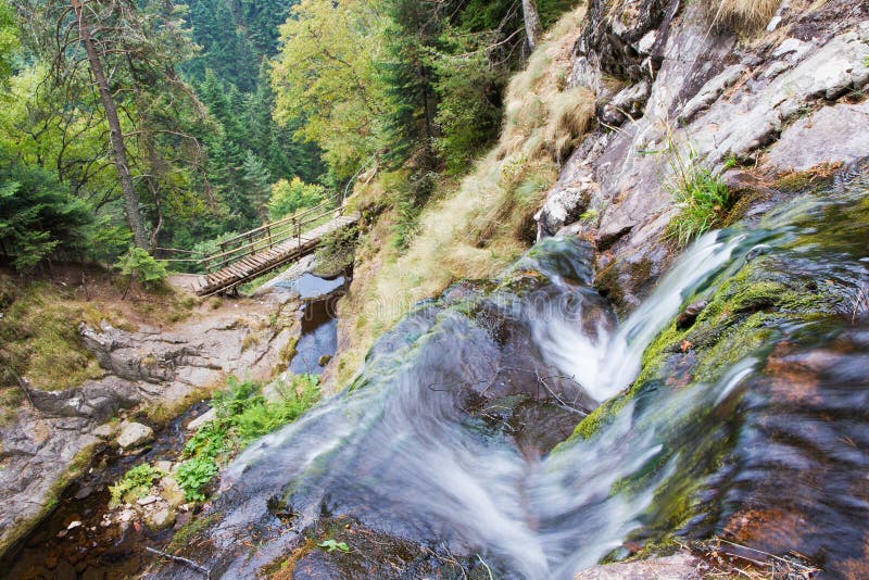 Movimienot borroso corriente de agua en montana o Bosque en otono.