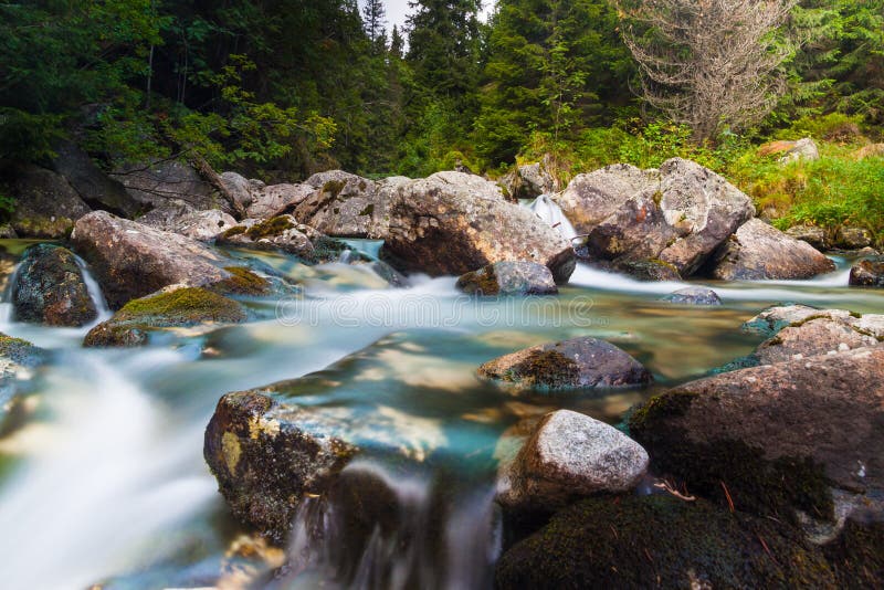 Water stream - river