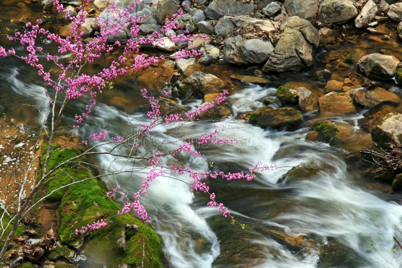 Water streams and cascades