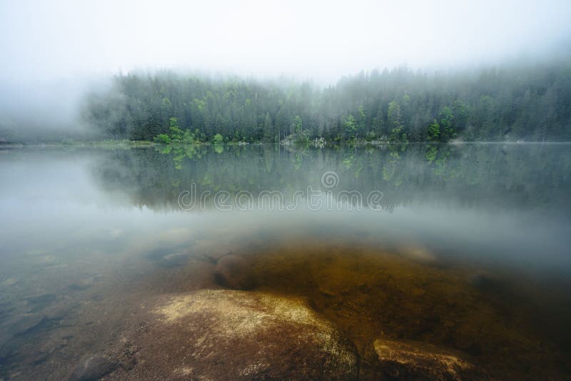 Water surrounded by trees and rocks with fog around them royalty free stock photos
