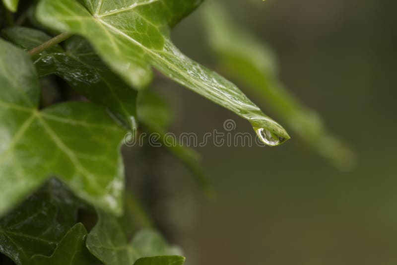 Water tappar royaltyfria bilder Water tappar royaltyfria bilder
