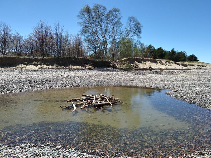 Water van overzeese van de de bomenvegetatie Duinen de Groene bladeren lange takken van het houtboomstammen bos stock foto Water van overzeese van de de bomenvegetatie Duinen de Groene bladeren lange takken van het houtboomstammen bos stock foto