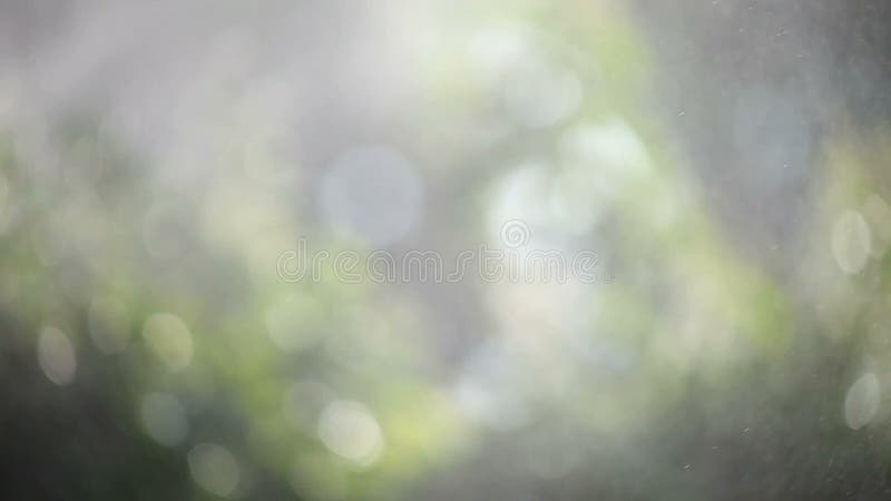 Water vapor in a garden