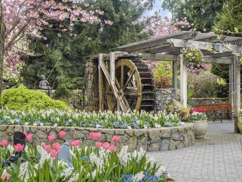 Water wheel in Butchart Gardens, Victoria British Columbia stock image Water wheel in Butchart Gardens, Victoria British Columbia stock image