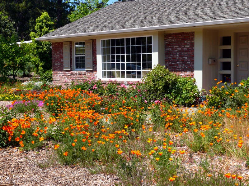 water-wise-gardening-in-california-stock-photo-image-of-yellow-brick