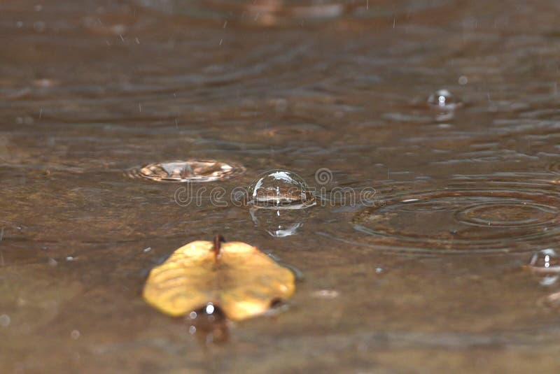 Waterbellen van regendruppels royalty-vrije stock afbeelding Waterbellen van regendruppels royalty-vrije stock afbeelding