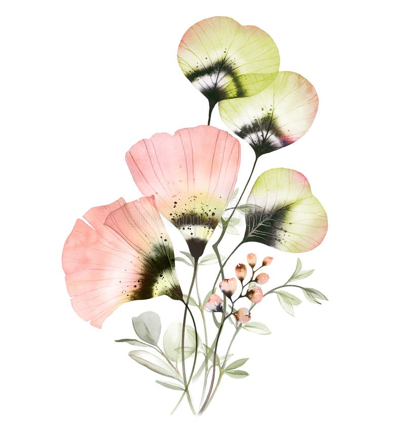 262 Abstract Watercolor Poppies Stock Photos - Free & Royalty-Free ...